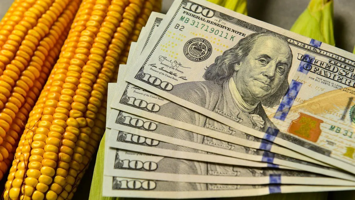 Análisis del Superávit Comercial y su Impacto en el Sector Externo Argentino