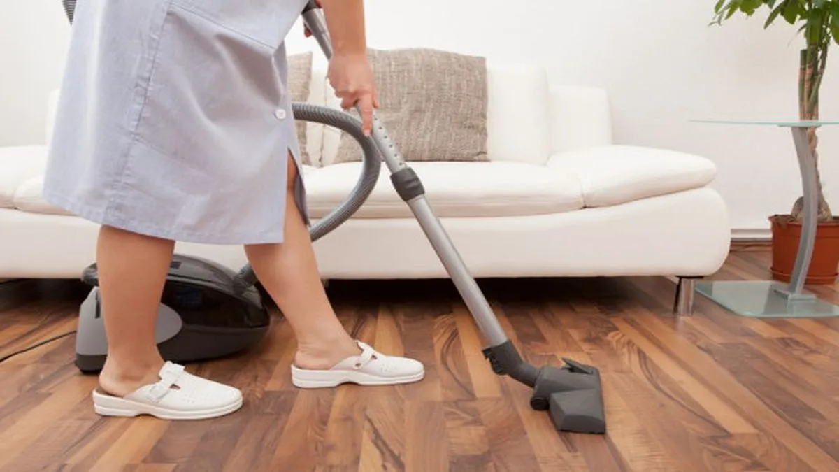 Revisión del Salario Mínimo para Empleadas Domésticas: Convocatoria del Gobierno