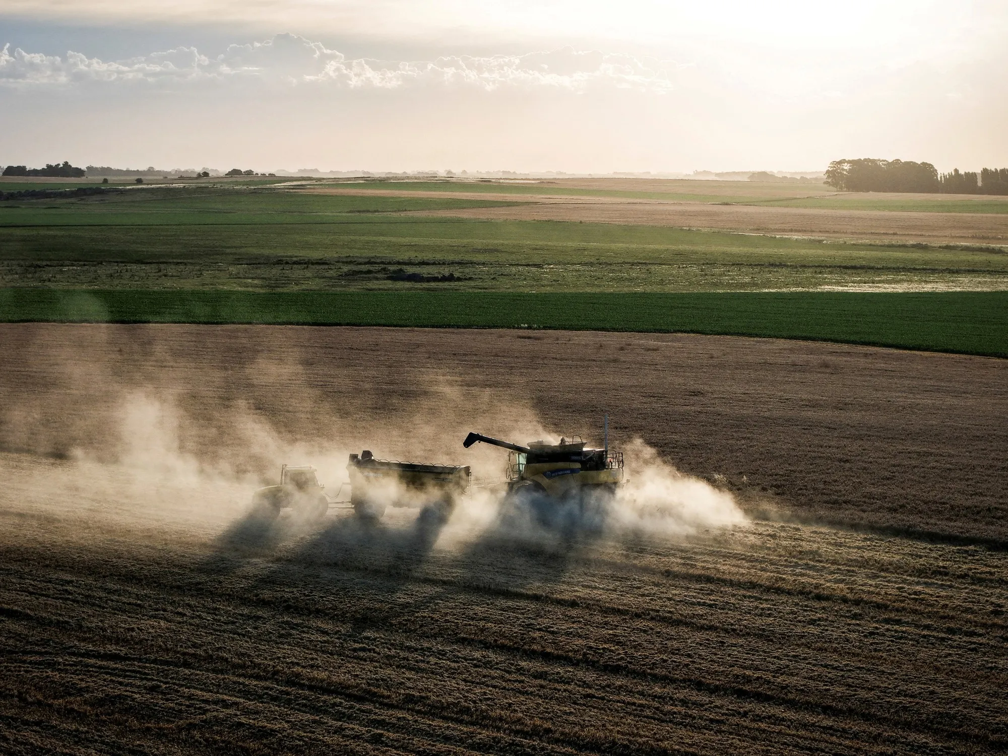 Récord en Exportaciones Argentinas y Caída en Importaciones: Análisis del Primer Trimestre
