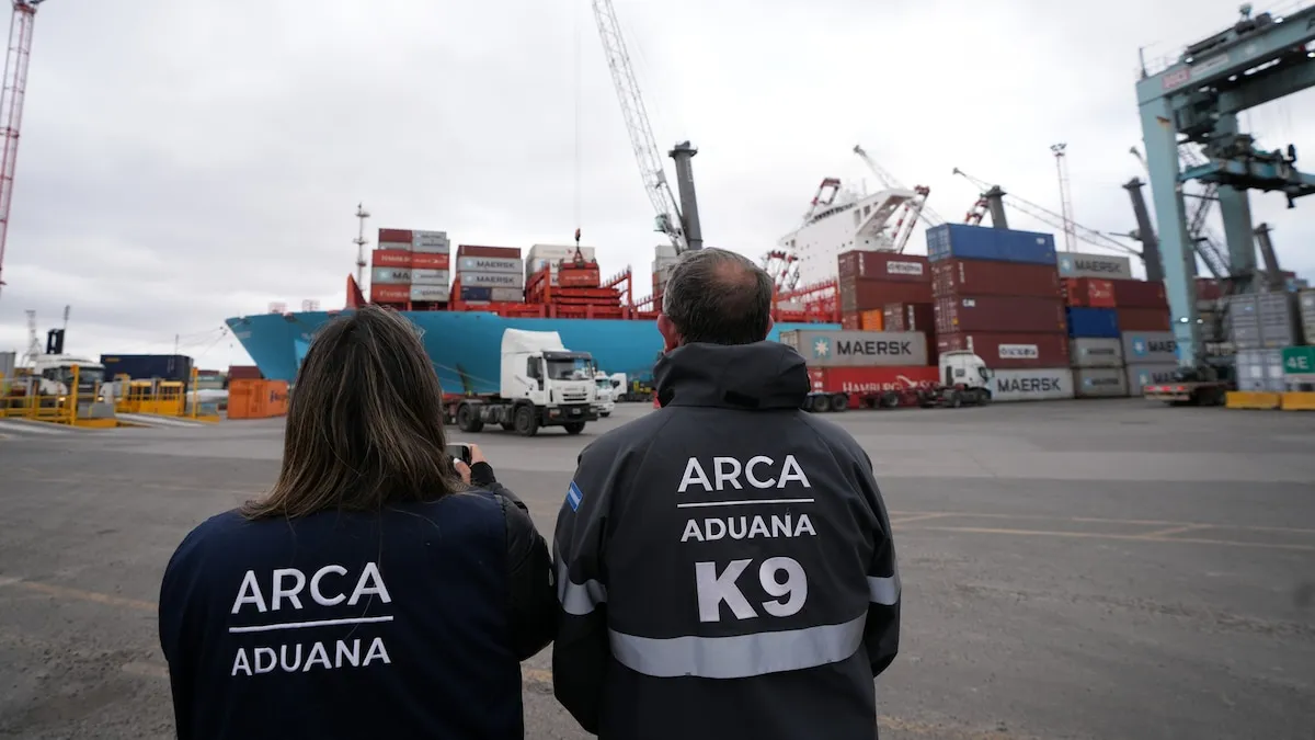 Impacto de la AFA en la Recaudación Fiscal y la Economía Argentina