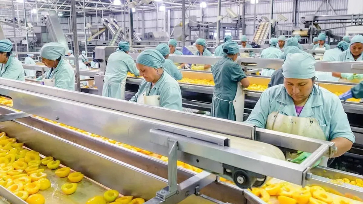 Análisis del Crecimiento del Producto Bruto Interno en Argentina y Mendoza en 2025