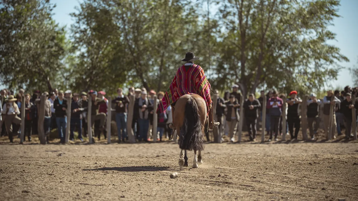 Día de Campo en la 45° Fiesta Nacional de la Ganadería: Fechas y Novedades