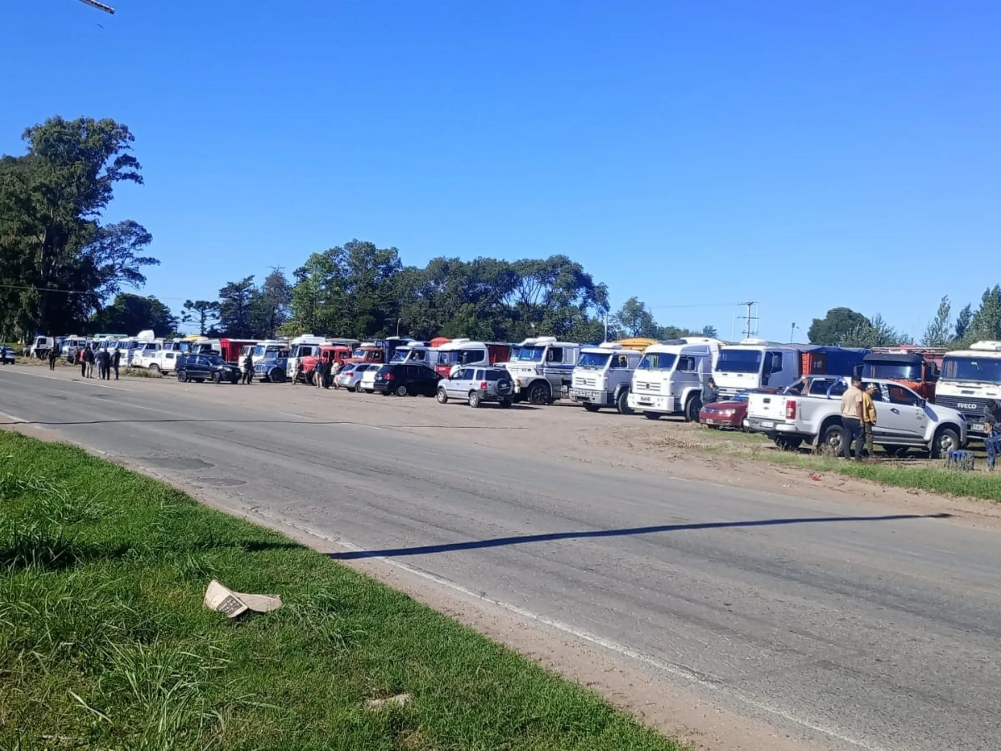 El Gobierno Argentino y la Actualización de Tarifas en el Transporte de Granos