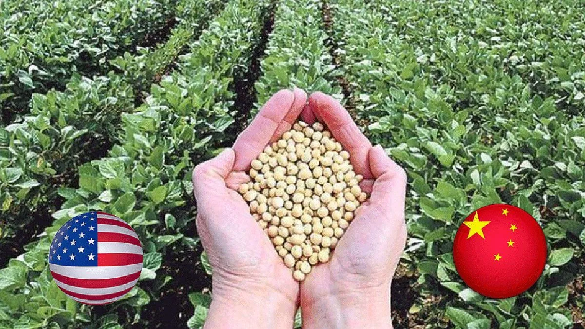 China Implementa Cambios en la Dieta Animal para Reducir el Uso de Soja