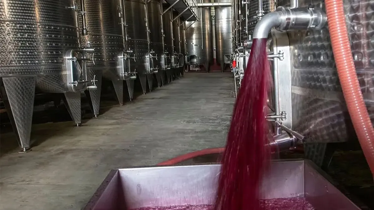 Proyección de Aumento en el Precio del Vino por Crecimiento en Exportaciones