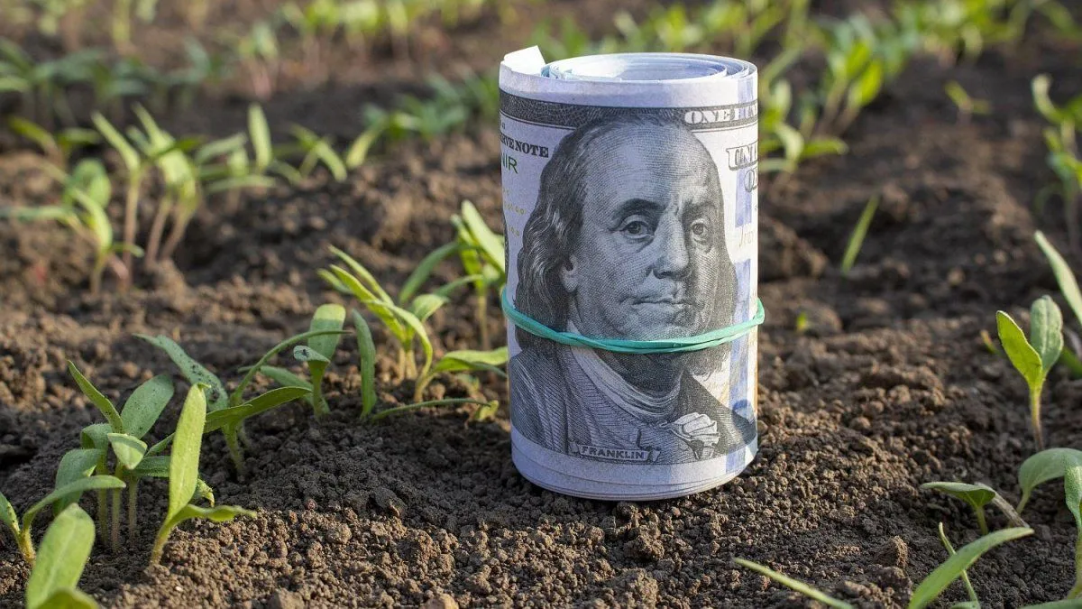 Flexibilización del BCRA: Impacto en el Financiamiento del Sector Agropecuario