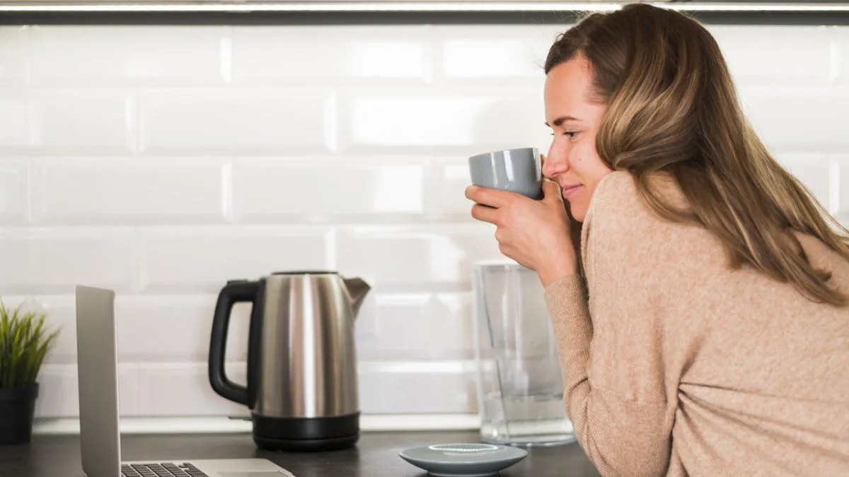 Análisis del Mercado de Pavas Eléctricas en Argentina: Precios y Opciones Disponibles