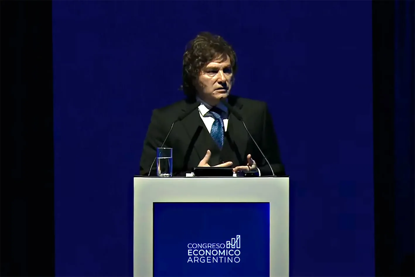 Análisis de la Gestión Económica de Milei: Ajustes y Realidades