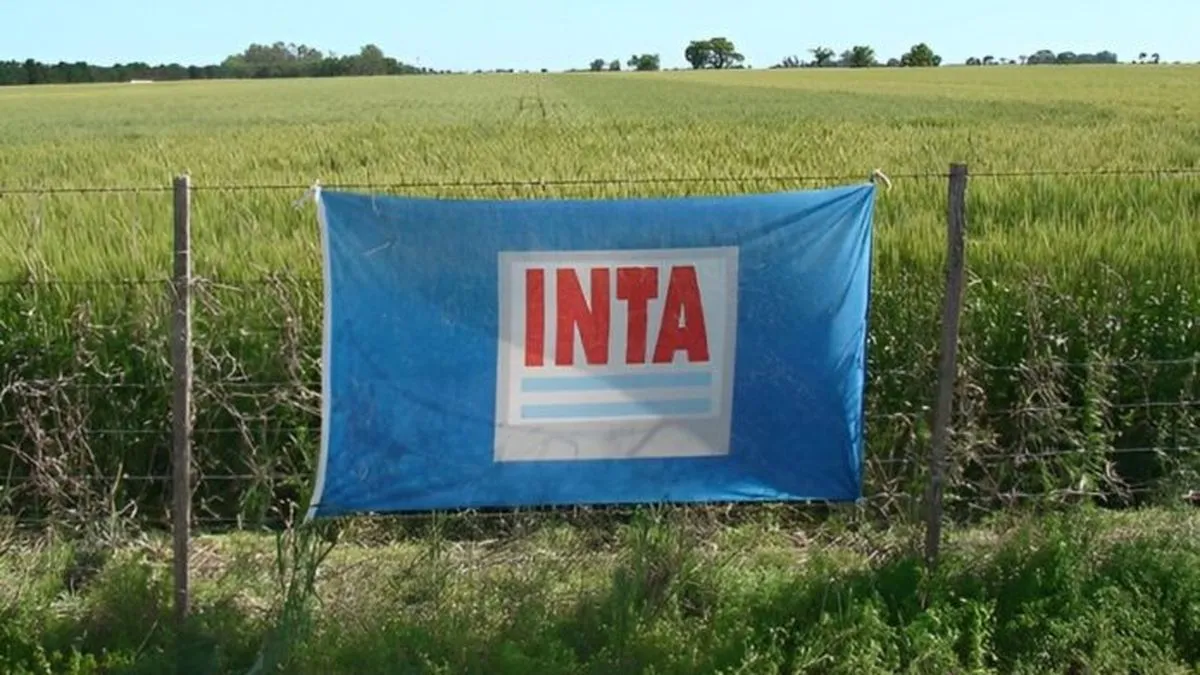 Cierre de Agencias en el INTA: Impacto en la Extensión Rural