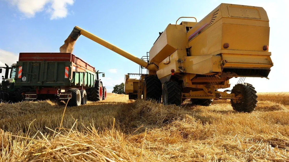 Aumento Global de Precios de Alimentos: Impacto de la Guerra y Oferta de Cereales