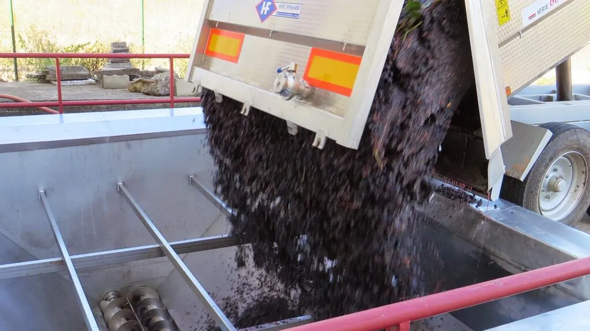 Asistencia Eléctrica para Bodegas ante la Reducción de Cosecha