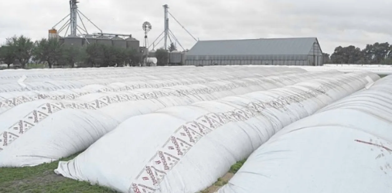 El Banco Central elimina penalización para financiamiento agropecuario