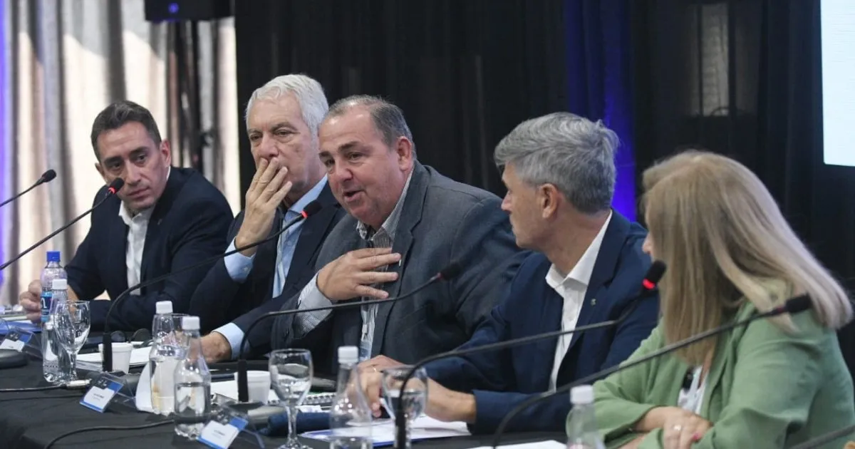 Intendentes de Argentina Inician Acciones Judiciales Contra el Gobierno de Milei por Coparticipación