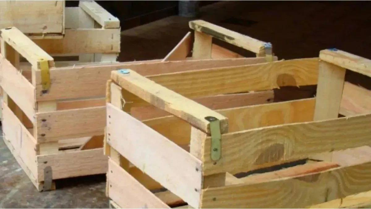 Impacto de las Inundaciones en la Producción Hortícola de Santa Fe y sus Consecuencias Económicas