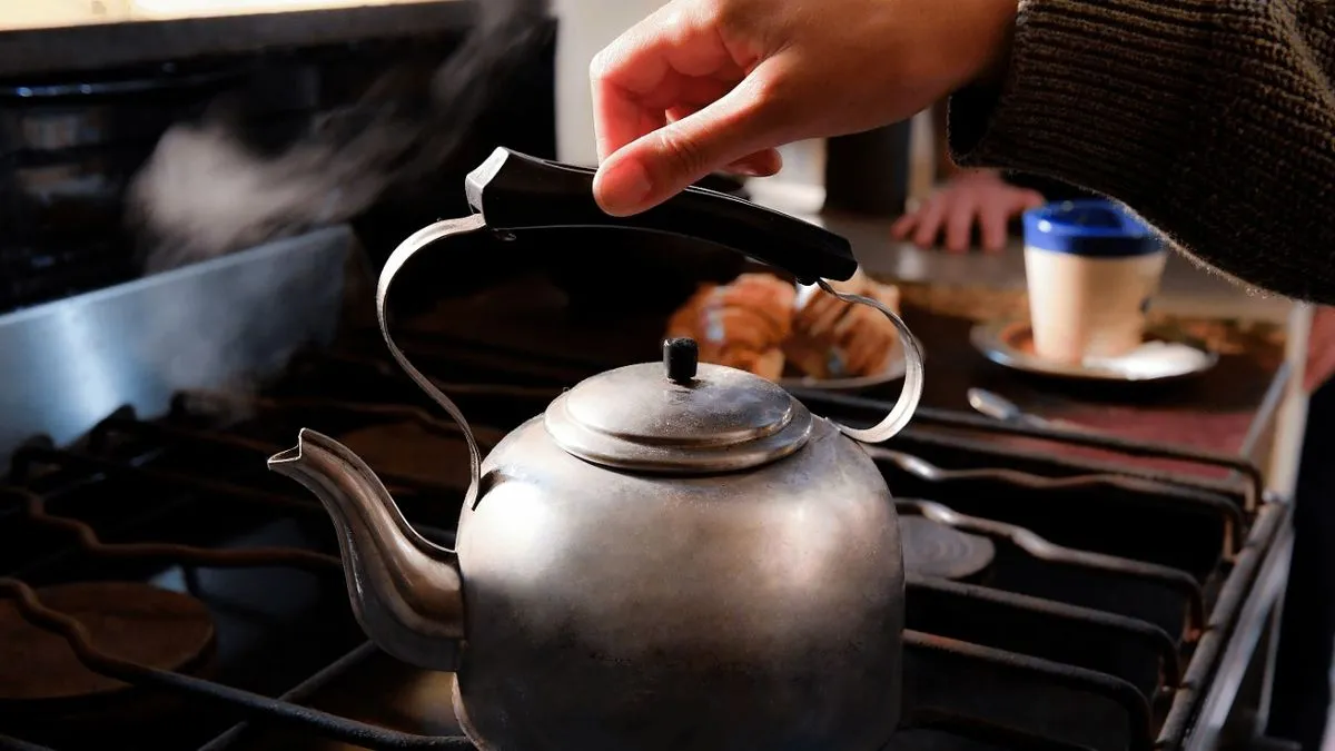 Promociones en Pavas Eléctricas: Descuentos y Opciones de Financiamiento en Carrefour