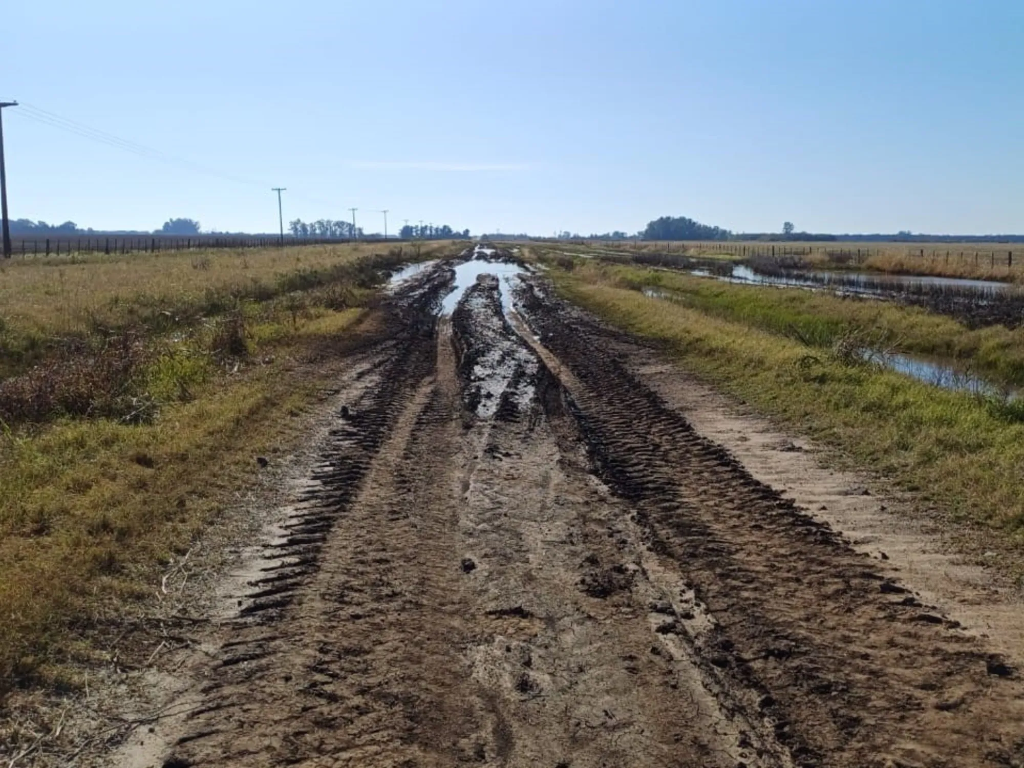 La Justicia obliga al municipio de Baradero a transparentar el uso de la tasa vial