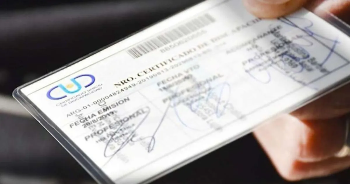 Beneficios del Certificado Único de Discapacidad (CUD) 2026 y su Trámite a través de ANSES