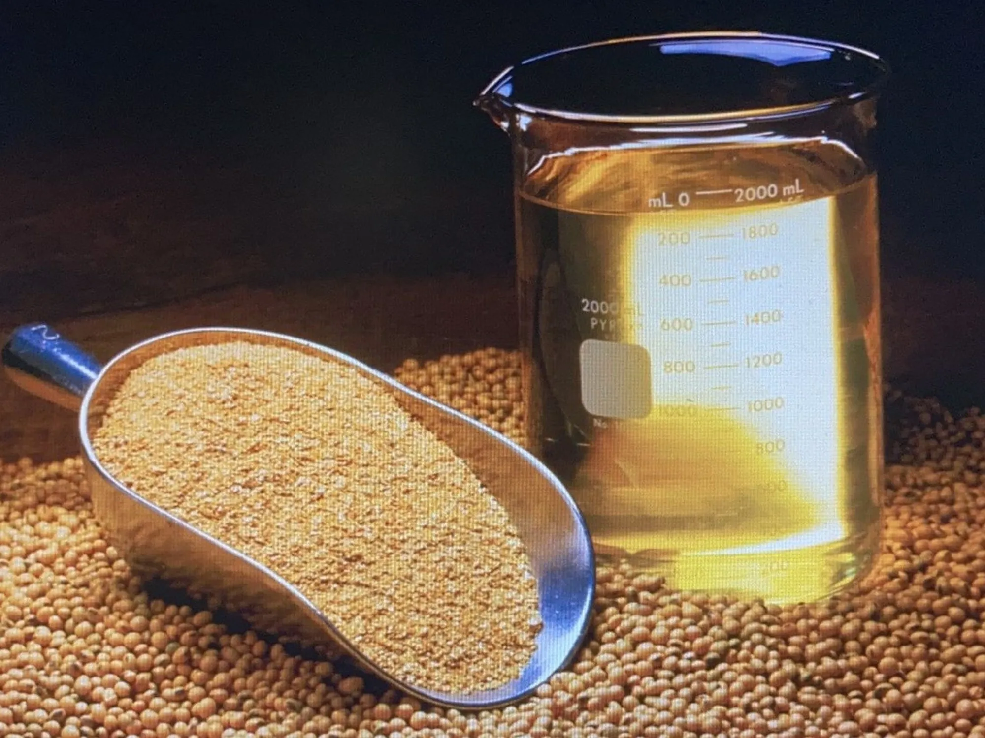 El Aumento del Precio del Aceite de Soja en Chicago: Implicaciones para el Mercado Argentino