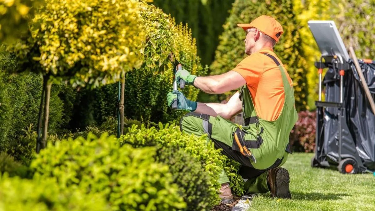 Costos de Mantenimiento de Jardines en Argentina: Análisis de Precios para Abril 2026