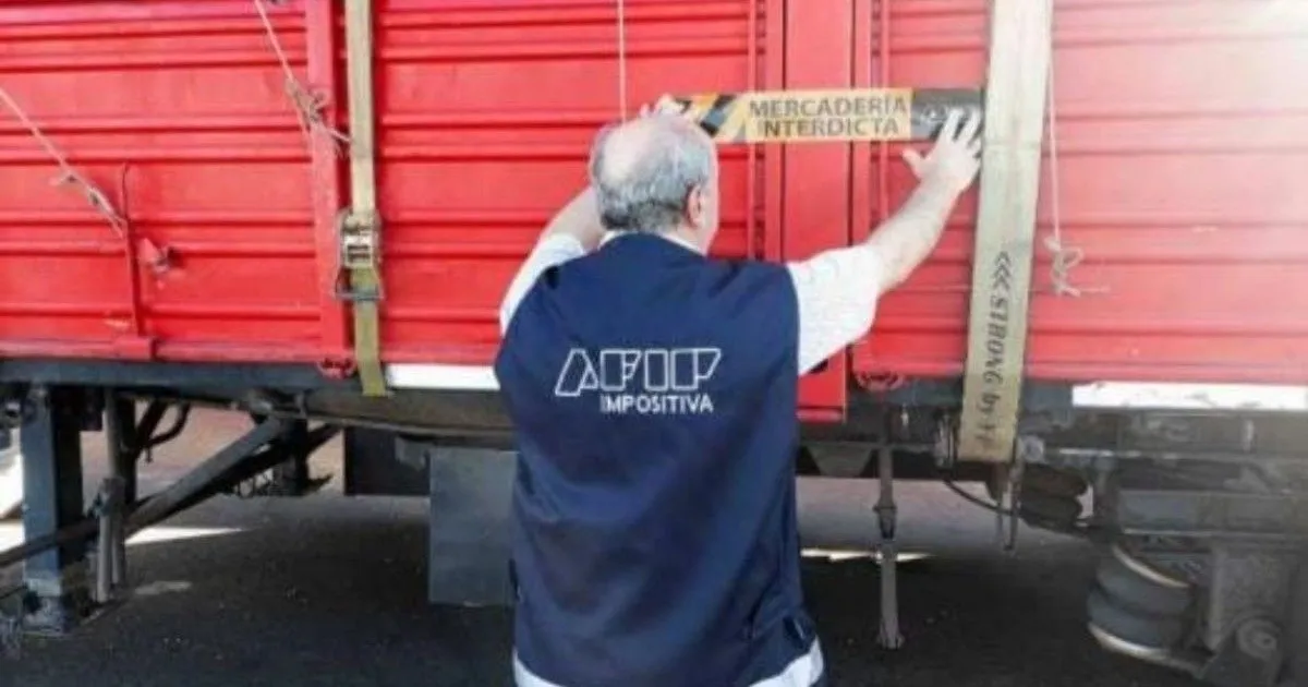 Investigación sobre el Avión Privado de un Financista: Implicaciones Fiscales y Legales