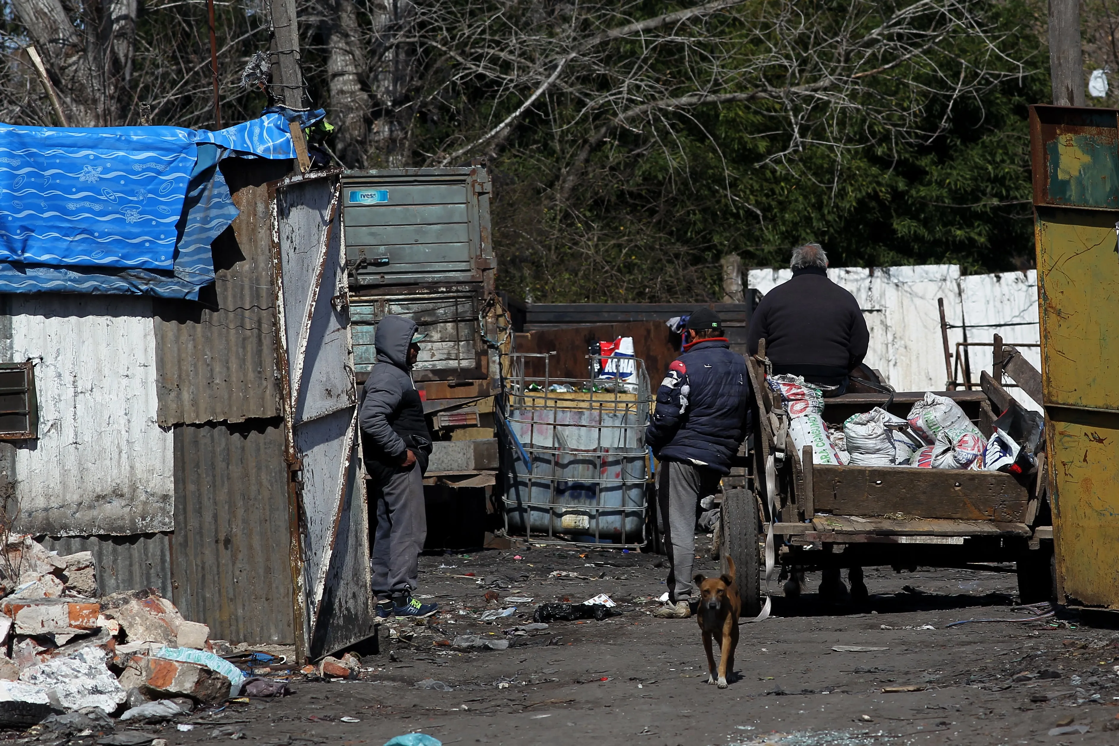 Desigualdad Económica en Argentina: Un Análisis del Ingreso Per Cápita