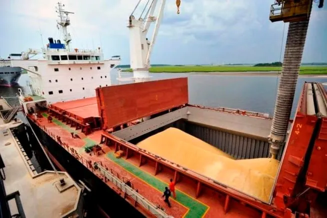 Incremento en las Exportaciones Agropecuarias: Un Análisis del Contexto Económico