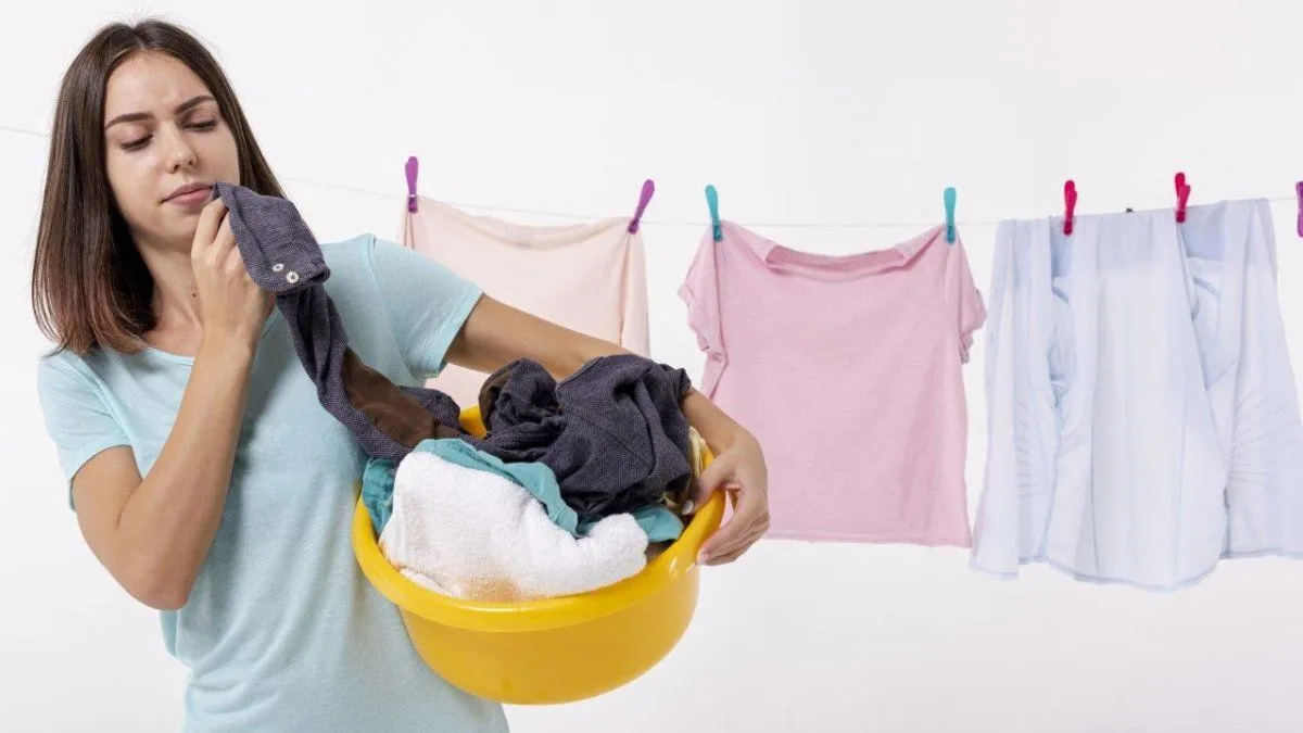 Análisis de Costos y Eficiencia de Tendederos Eléctricos en el Hogar