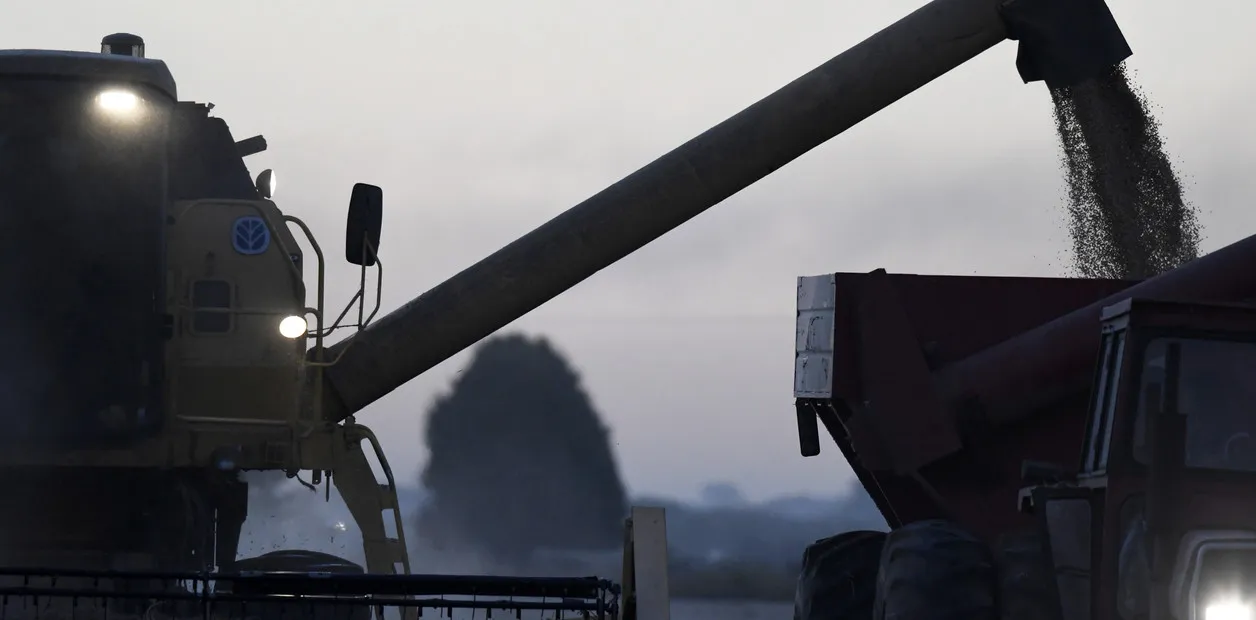 Impacto de la Guerra en Medio Oriente en la Confianza del Productor Argentino