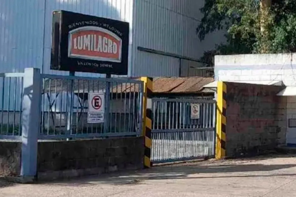 Lumilagro Anuncia Contratación de 60 Nuevos Trabajadores en un Contexto de Despidos Masivos