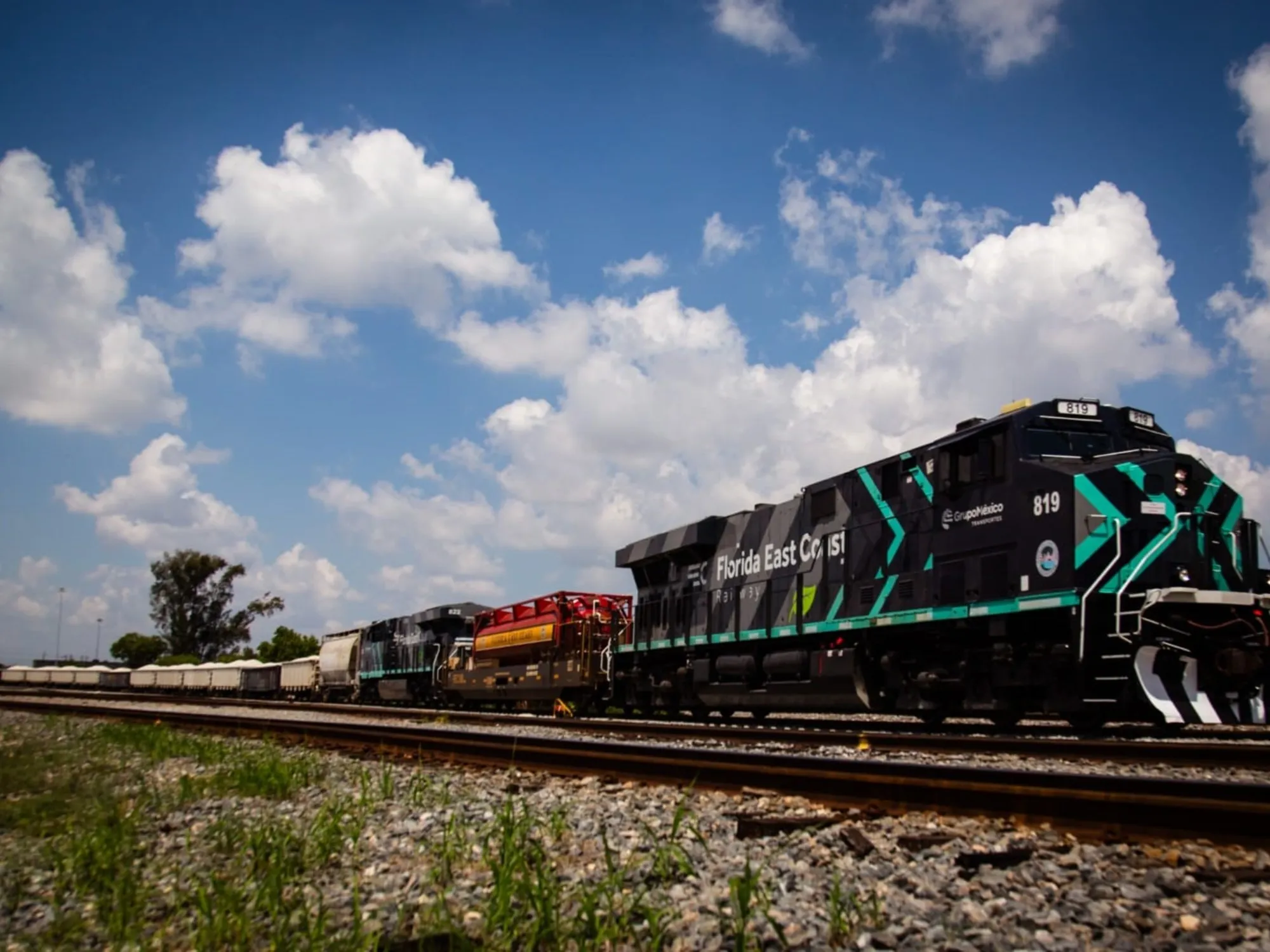 Grupo México Transporte: Aspiraciones y Desafíos en la Privatización del Belgrano Cargas