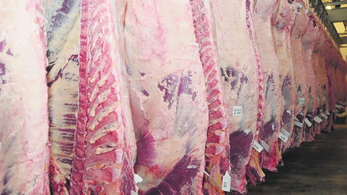 Análisis del Techo de Precios en el Mercado de la Carne Vacuna