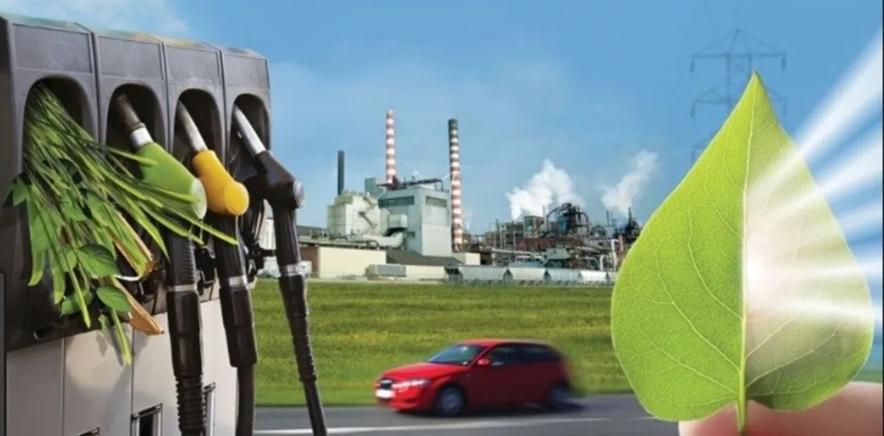 Estrategias de Bioeconomía y Energía: La Sinergia entre Vaca Viva y Vaca Muerta en Argentina