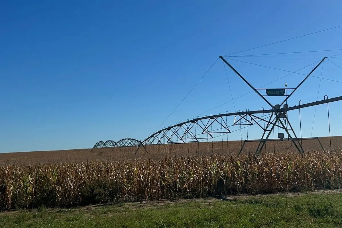 Controversia por Intimaciones de Registro en el Sector Agrícola de Buenos Aires