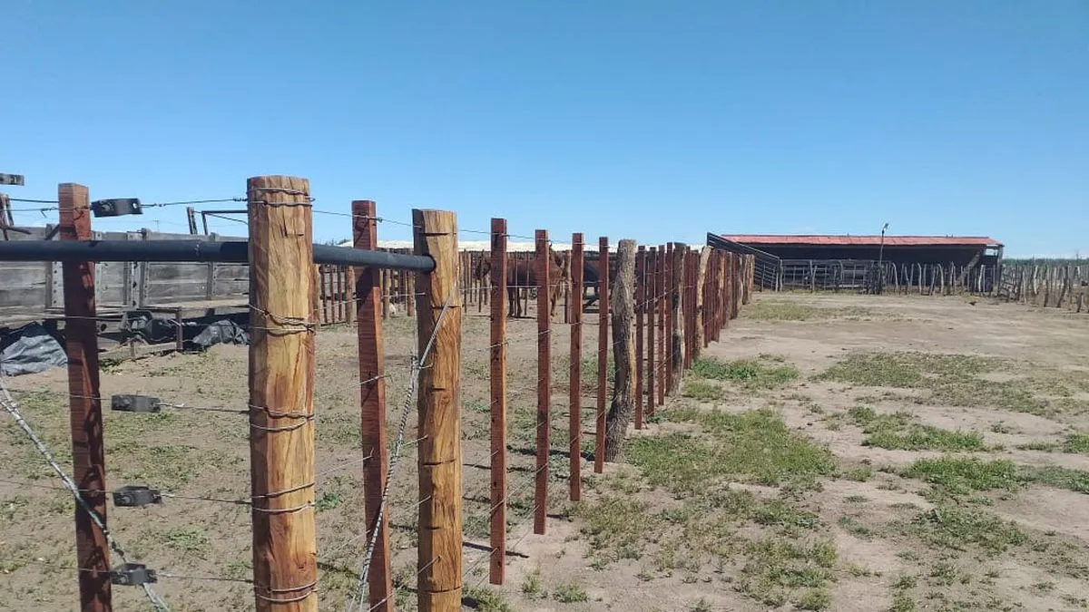 Crisis Económica en Mendoza: Reclamo de las Pymes del Sur