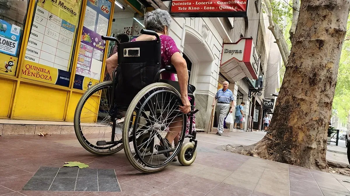 Control Rigurosos de ANSES sobre Pensiones No Contributivas por Invalidez en 2026